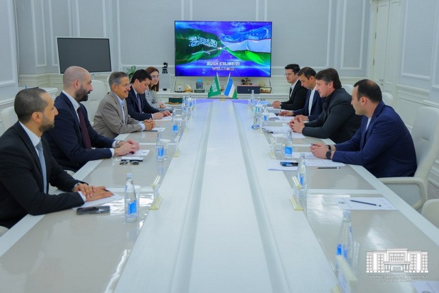 Tashkent discussed energy efficient projects with ACWA Power